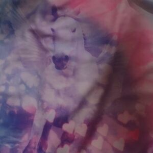 Wonder Nation Pink and Purple Print One-Piece Swimwear